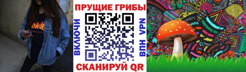 кракен ССЫЛКА  дарнет шоп  Теберда  Псилоцибиновые грибы Cubensis 